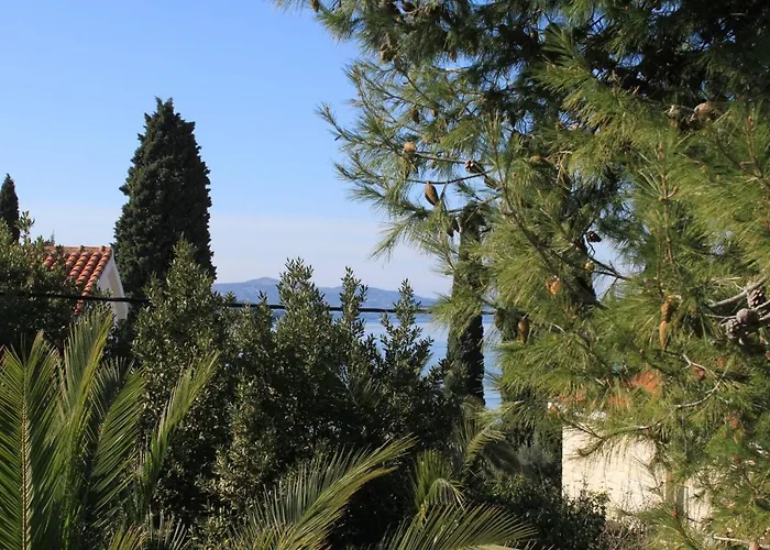 Seaside House Okrug Gornji, Ciovo - 8645 Hébergement de vacances